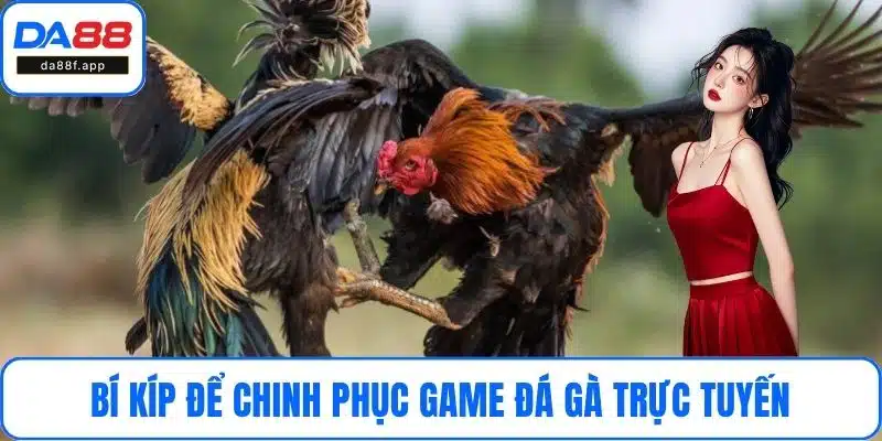 Bí kíp để chinh phục game đá gà trực tuyến