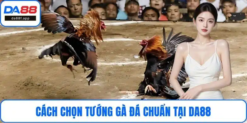 Cách Chọn Tướng Gà Đá Chuẩn Để Rinh Thưởng Tại DA88