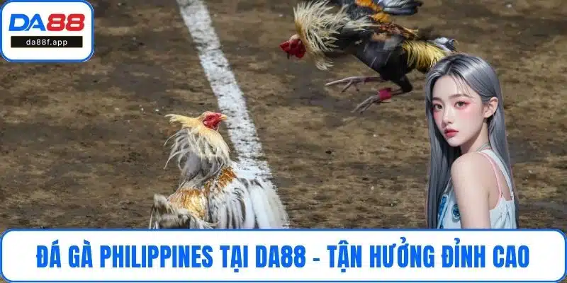 Đá Gà Philippines Tại DA88 – Tận Hưởng Đỉnh Cao Cá Cược