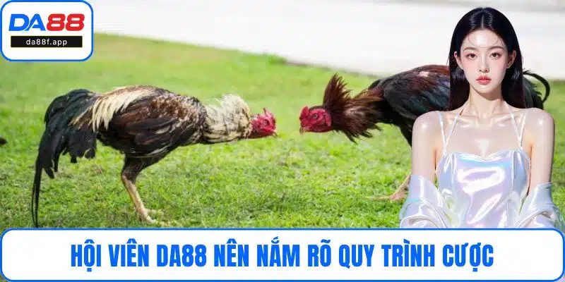 Hội viên DA88 nên nắm rõ quy trình cược