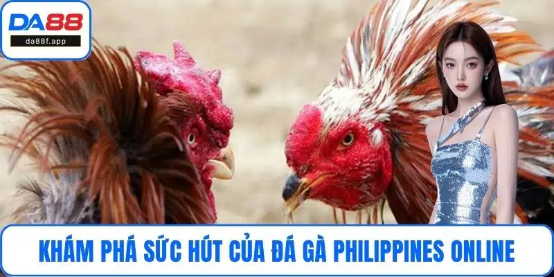 Khám phá sức hút của đá gà Philippines online