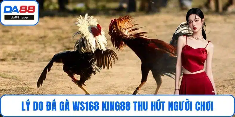 Lý do đá gà Ws168 King88 thu hút người chơi