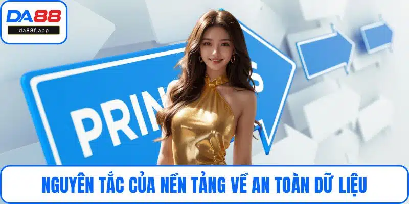Nguyên tắc của nền tảng về an toàn dữ liệu