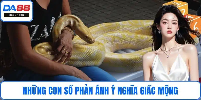 Những con số phản ánh ý nghĩa giấc mộng