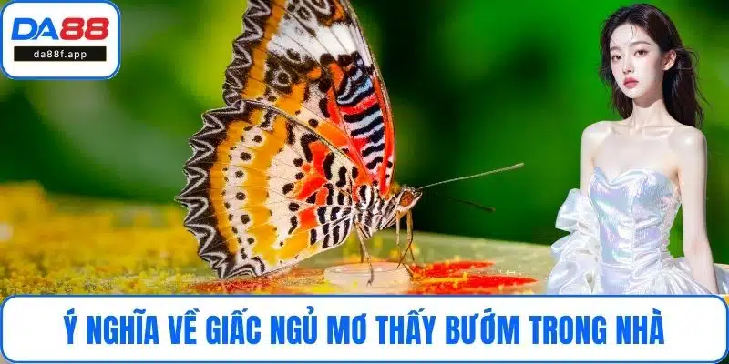 Ý nghĩa về giấc ngủ mơ thấy bướm trong nhà